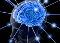 10 самых свежих исследований человеческого мозга